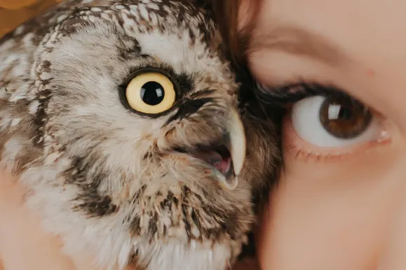 Kaszinó AllStar Slots Támogatás